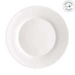TOLEDO PLATE DINNER 25