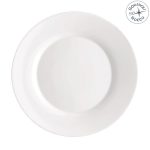 TOLEDO PLATE DINNER 25