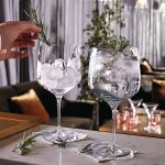 PREMIUM STEM COCKTAIL 75CL - Image 2